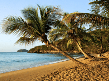 Trek the Hidden Trails of This French Caribbean Island